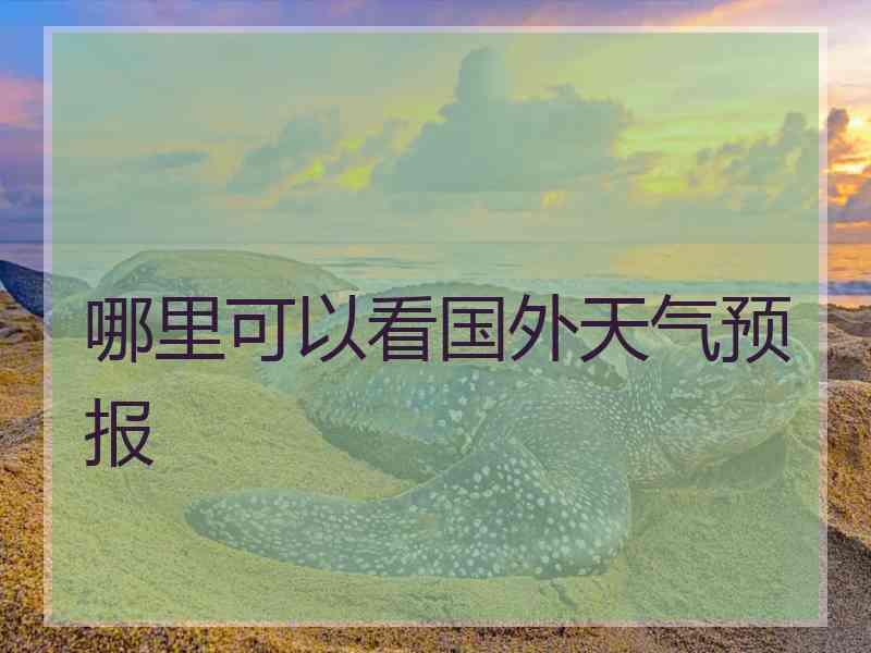 哪里可以看国外天气预报