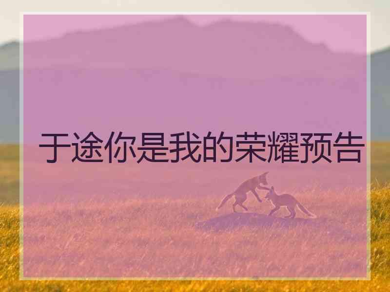 于途你是我的荣耀预告