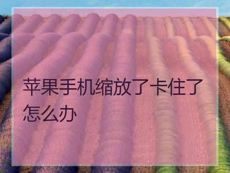 苹果手机缩放了卡住了怎么办