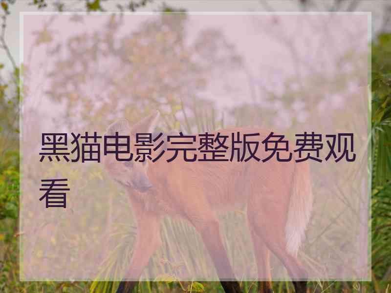 黑猫电影完整版免费观看