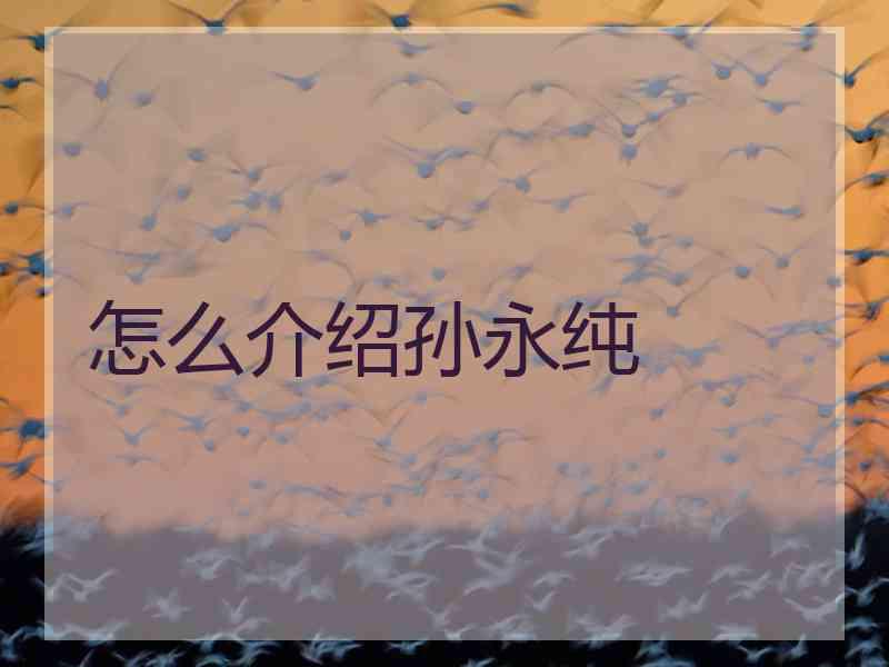 怎么介绍孙永纯