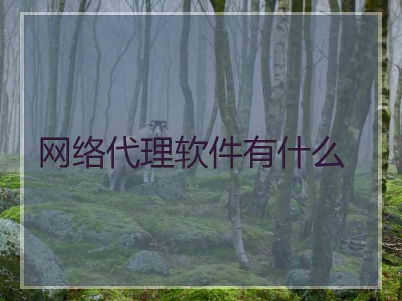 网络代理软件有什么