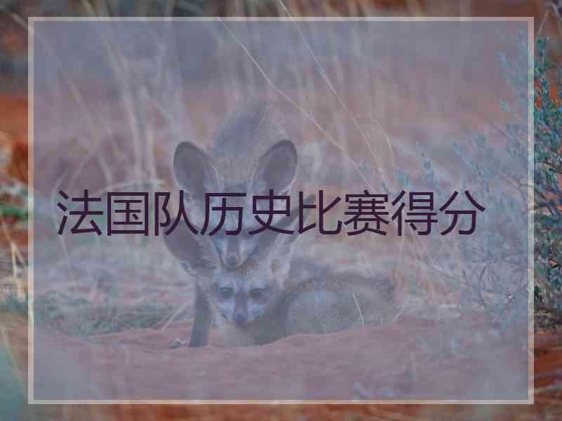 法国队历史比赛得分