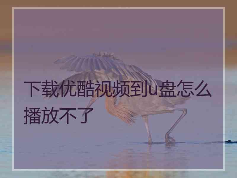 下载优酷视频到u盘怎么播放不了