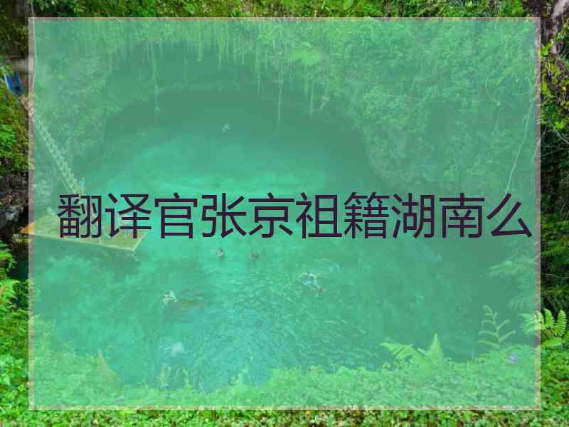 翻译官张京祖籍湖南么