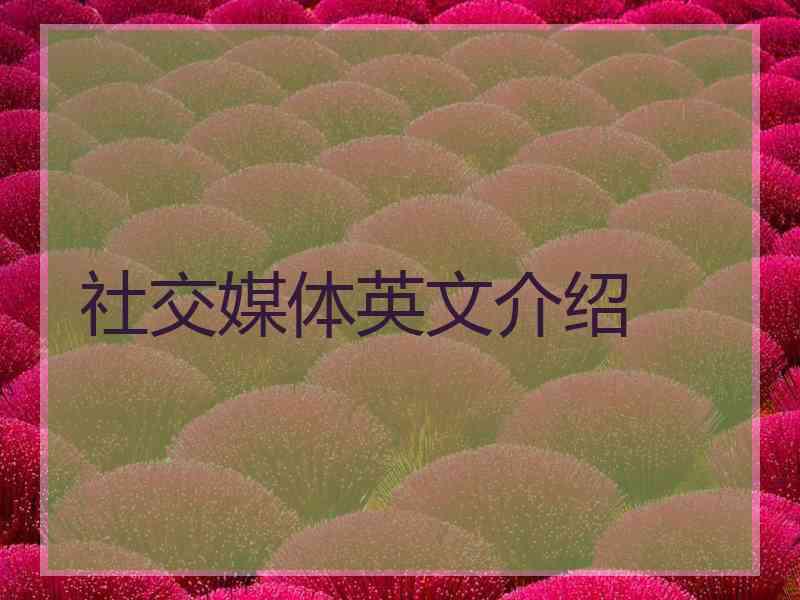 社交媒体英文介绍