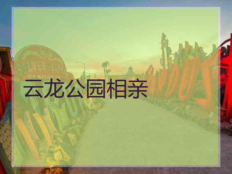 云龙公园相亲