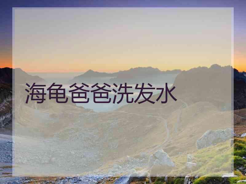 海龟爸爸洗发水