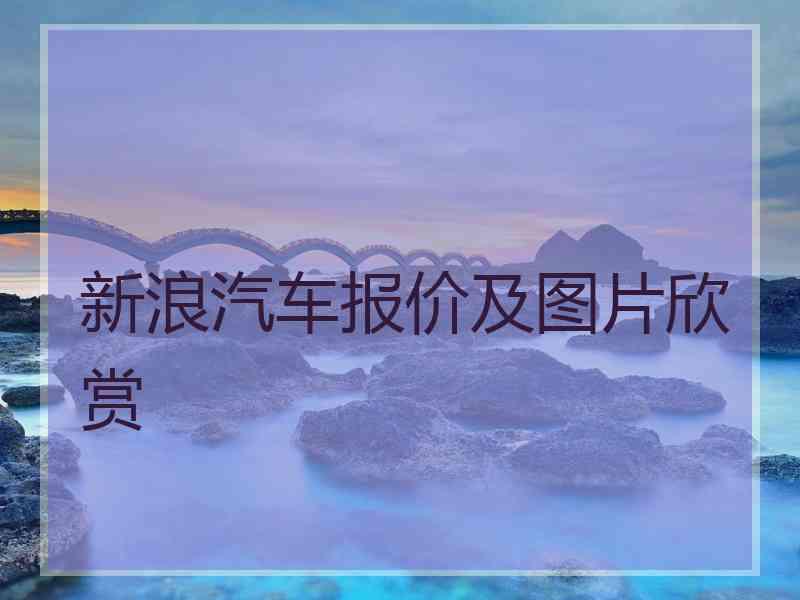 新浪汽车报价及图片欣赏