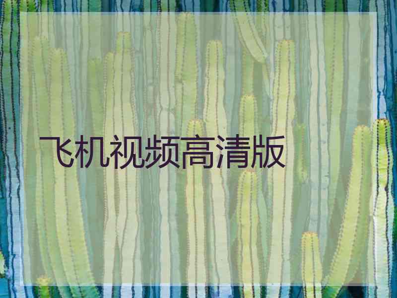 飞机视频高清版