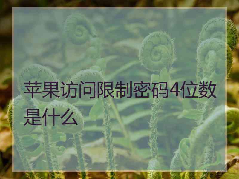 苹果访问限制密码4位数是什么