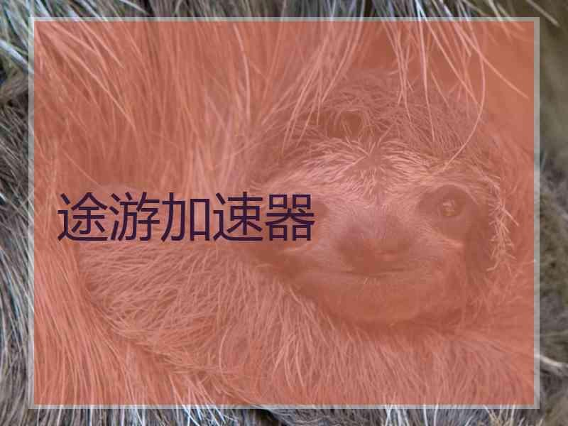 途游加速器