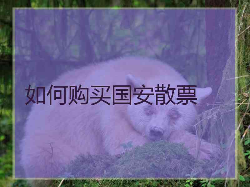 如何购买国安散票