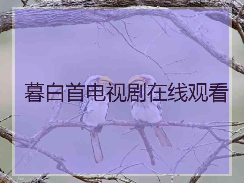 暮白首电视剧在线观看