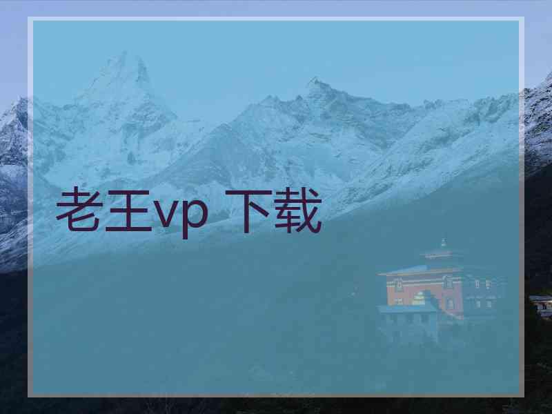 老王vp 下载