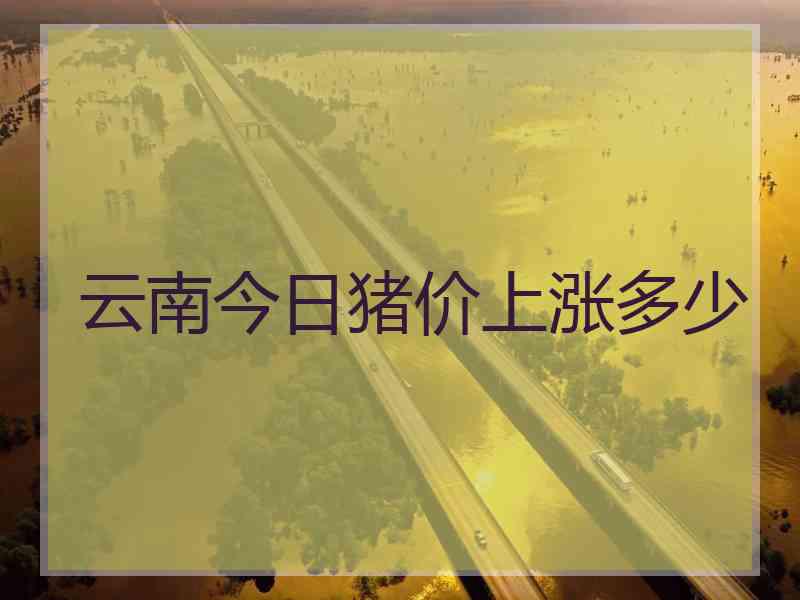 云南今日猪价上涨多少