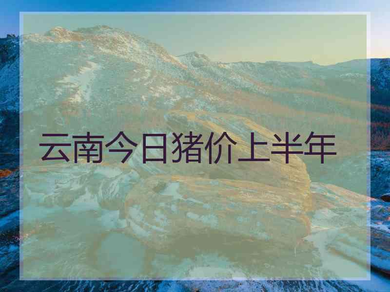 云南今日猪价上半年