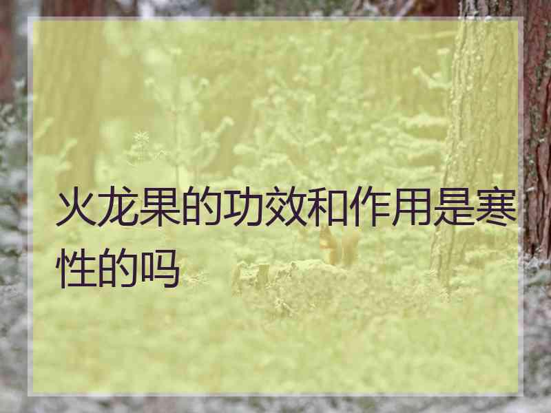 火龙果的功效和作用是寒性的吗