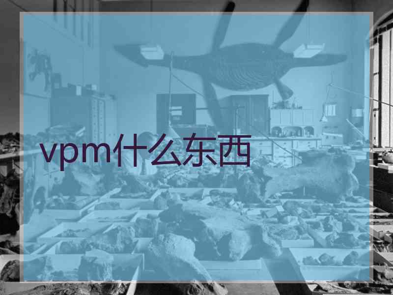 vpm什么东西
