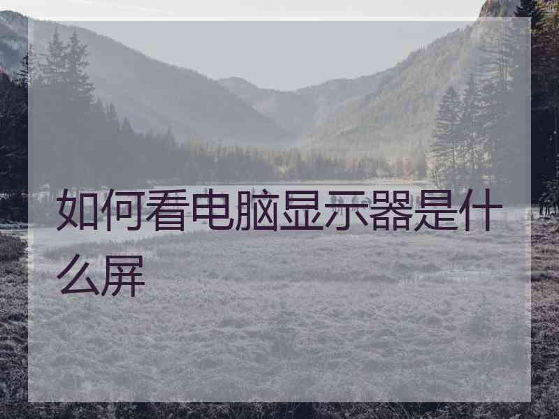 如何看电脑显示器是什么屏
