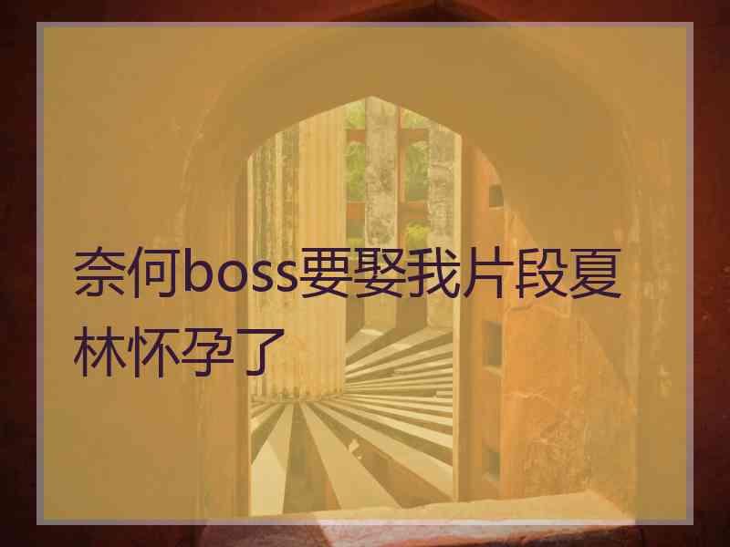 奈何boss要娶我片段夏林怀孕了
