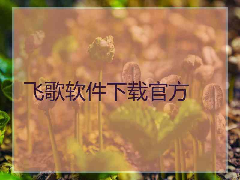 飞歌软件下载官方