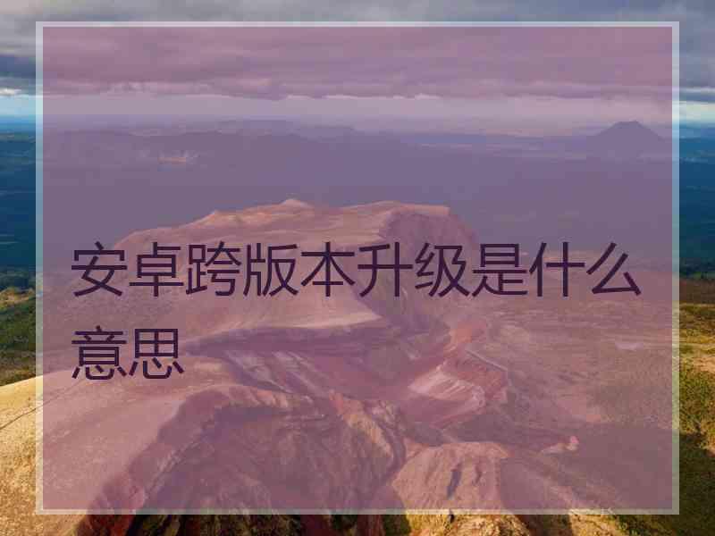 安卓跨版本升级是什么意思