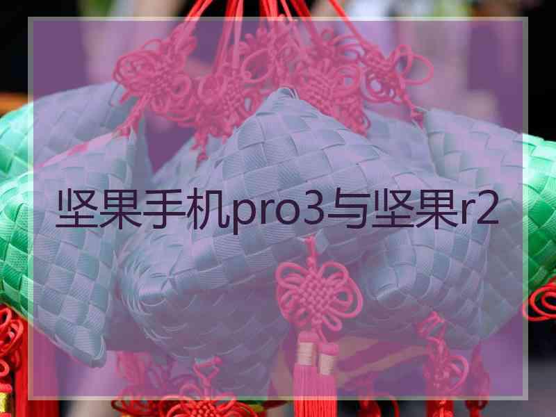 坚果手机pro3与坚果r2