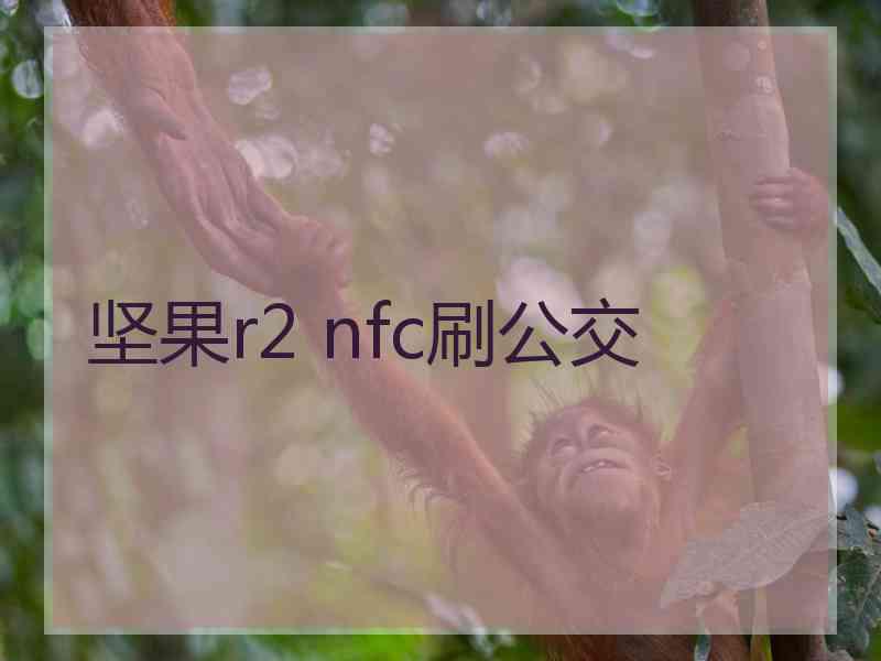坚果r2 nfc刷公交
