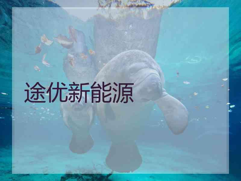 途优新能源