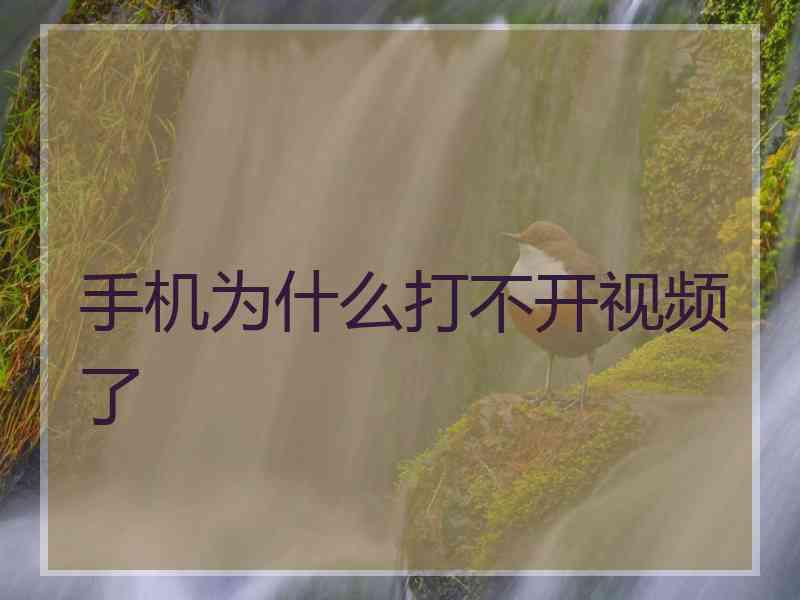 手机为什么打不开视频了