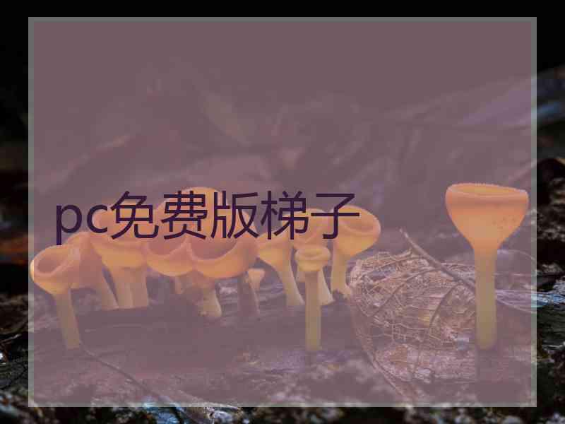 pc免费版梯子