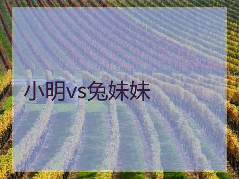 小明vs兔妹妹