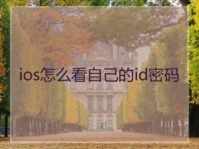 ios怎么看自己的id密码