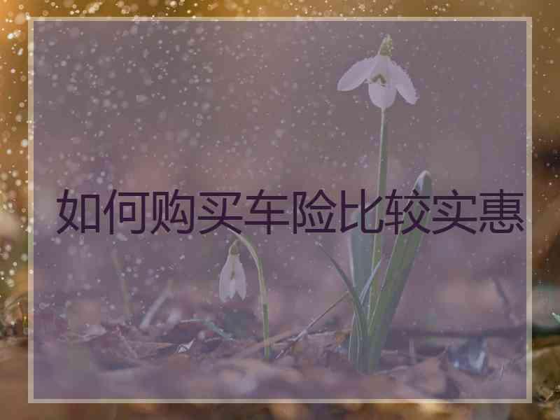 如何购买车险比较实惠