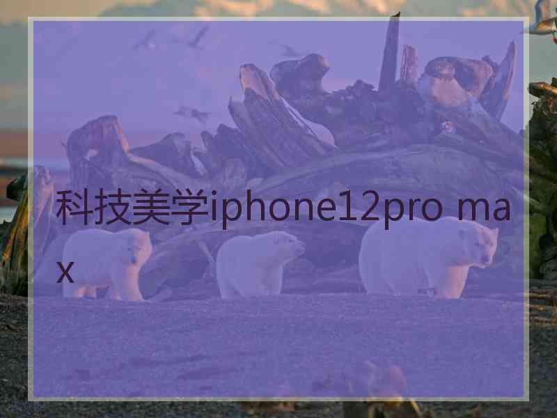 科技美学iphone12pro max