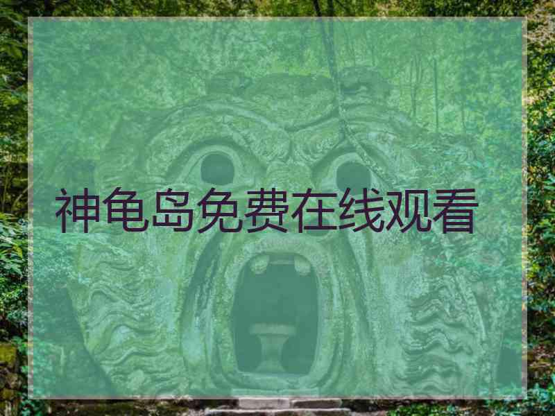 神龟岛免费在线观看