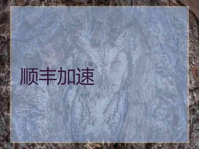 顺丰加速