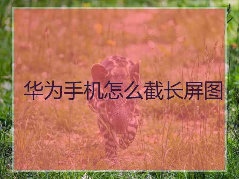 华为手机怎么截长屏图