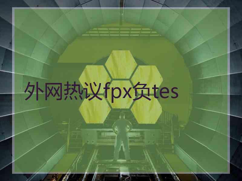 外网热议fpx负tes