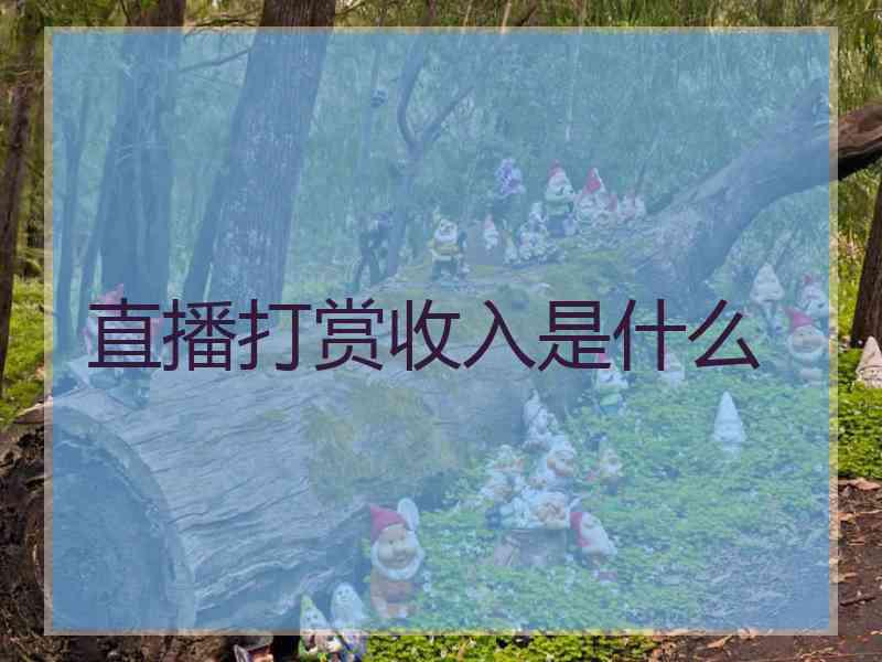 直播打赏收入是什么