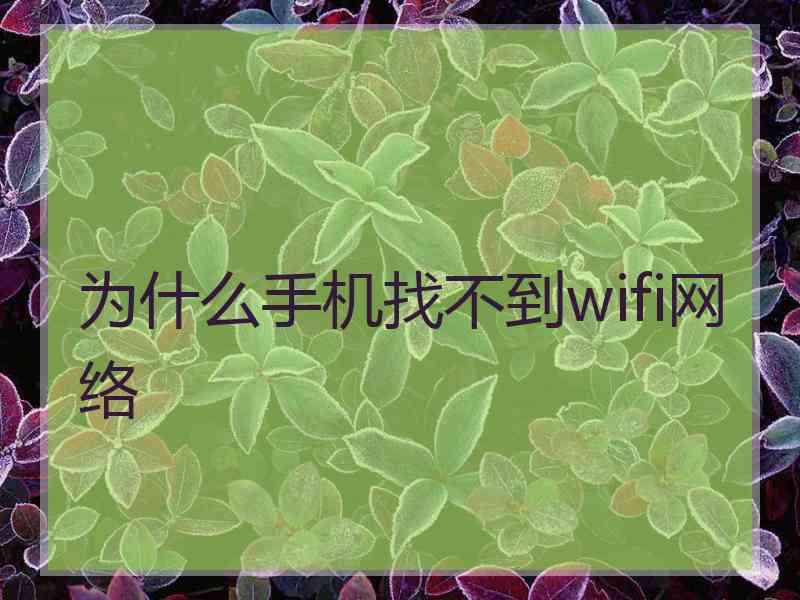 为什么手机找不到wifi网络