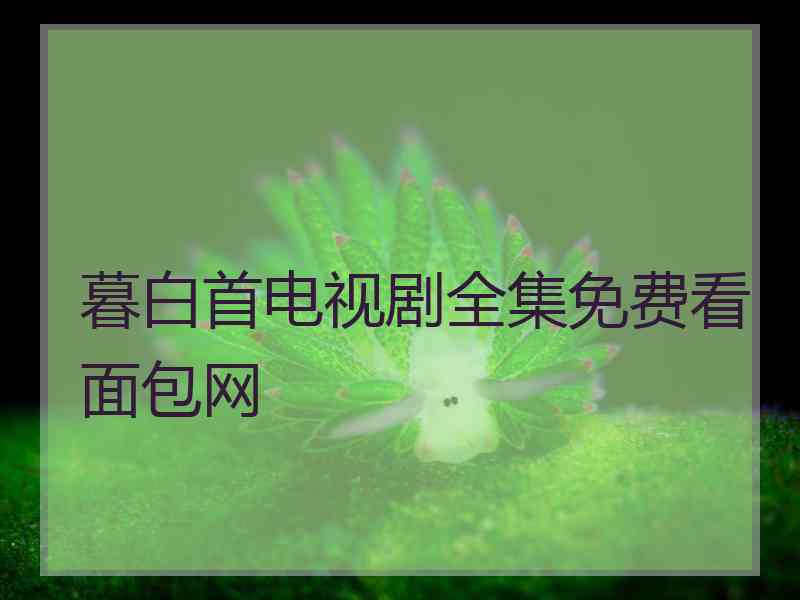 暮白首电视剧全集免费看面包网