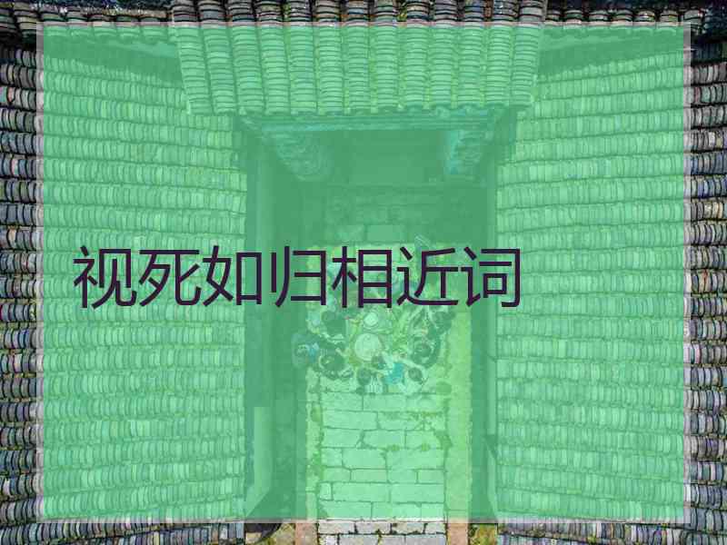 视死如归相近词