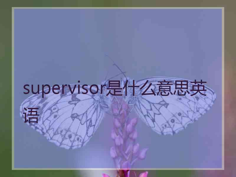 supervisor是什么意思英语