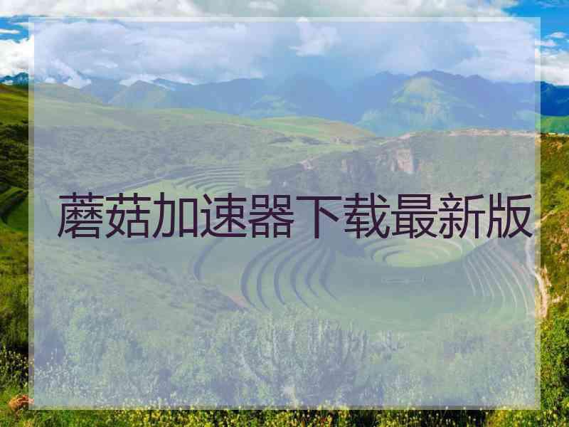 蘑菇加速器下载最新版