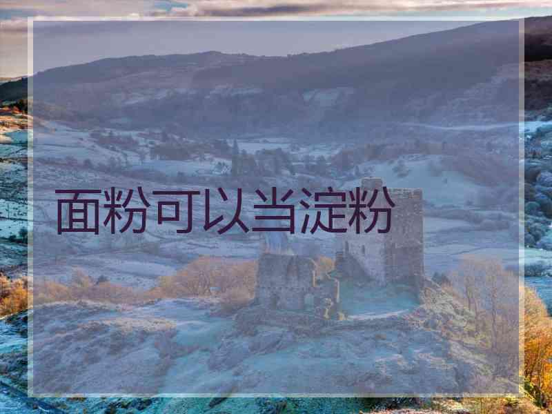 面粉可以当淀粉