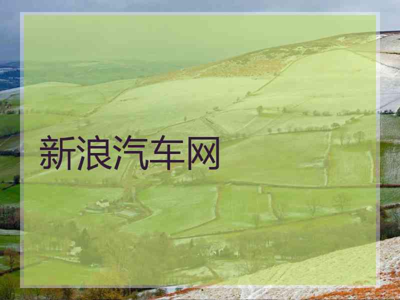 新浪汽车网