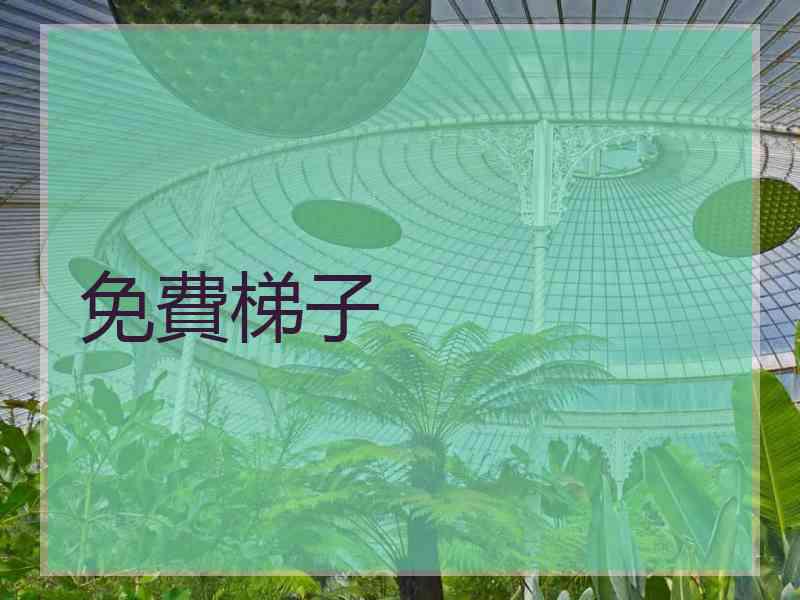 免費梯子