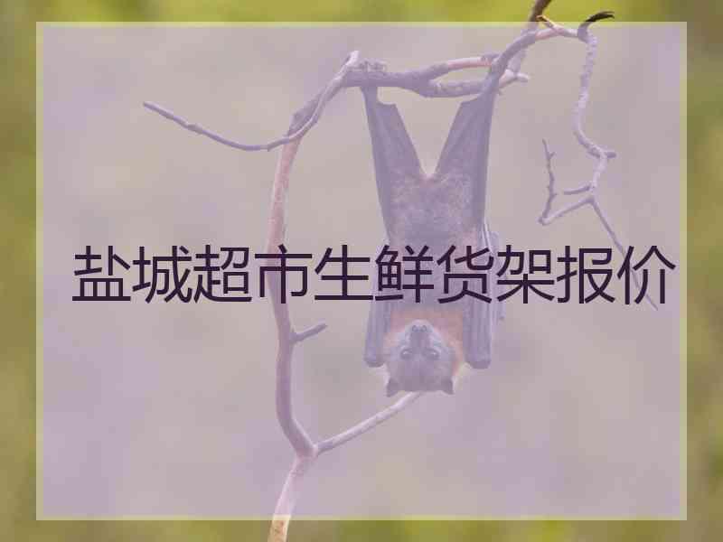 盐城超市生鲜货架报价